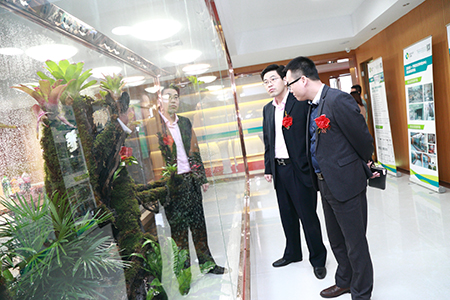 绿色生态办公空间 绿色生态办公空间