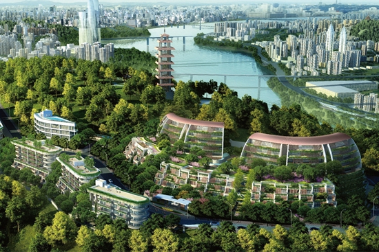 重庆鹅岭峰——导光系统应用