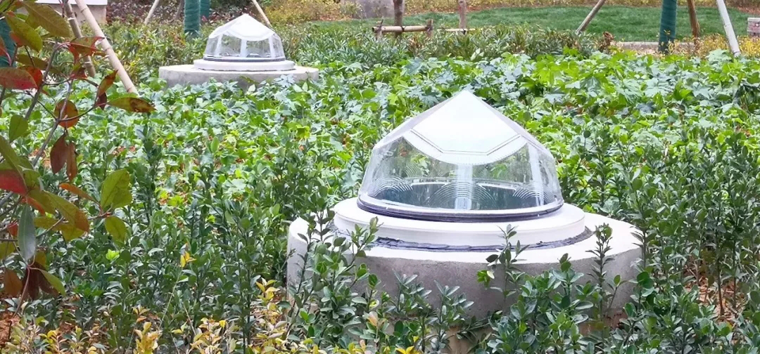 图片2.png 图片2.png